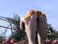Femme exhib sautee par un voyeur pervers